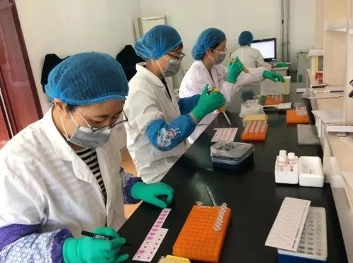 威海文登區(qū)畜牧獸醫(yī)技術(shù)服務中心 靠前服務保穩(wěn)產(chǎn) 技術(shù)服務促發(fā)展